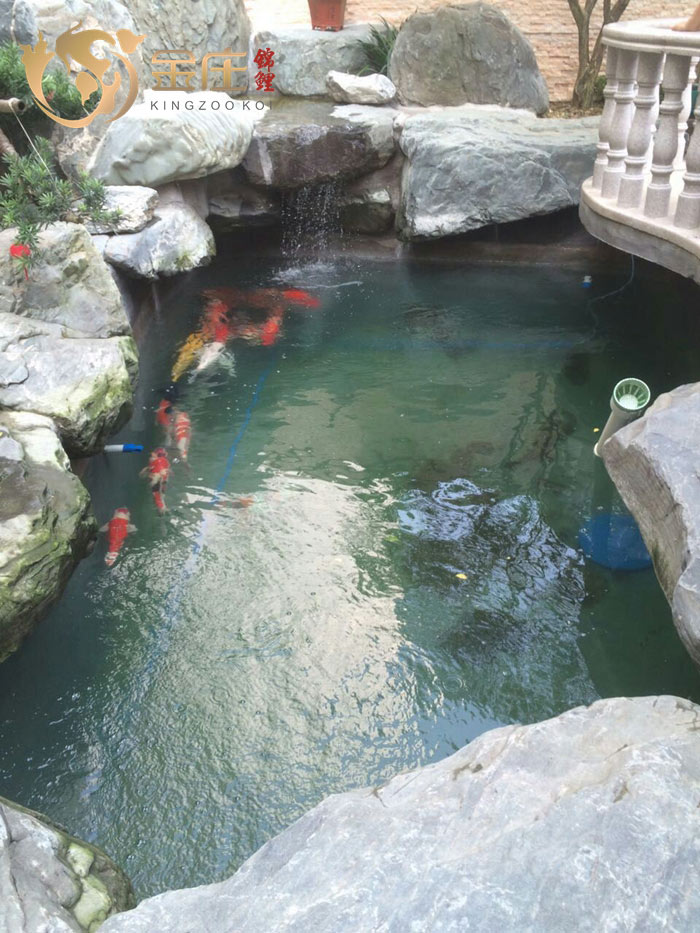 好魚好水好池 好魚好水好池