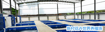 陳村(cūn)花卉世界養殖場