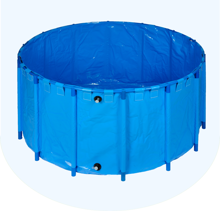 金莊錦鯉專用支架水池