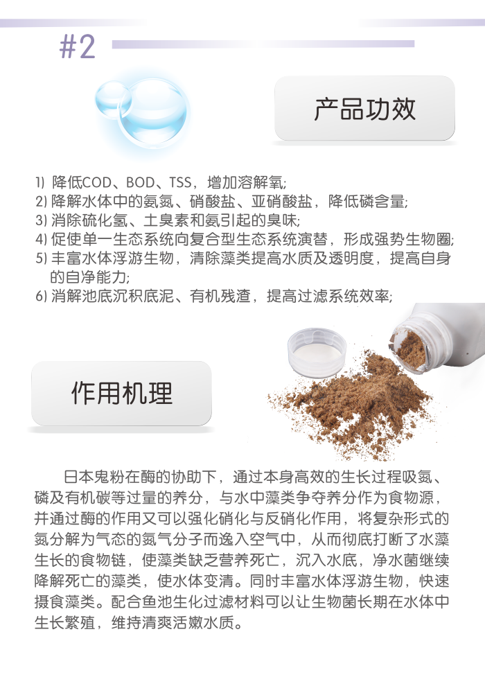 金莊錦鯉魚池專用超級細菌（淨水菌）