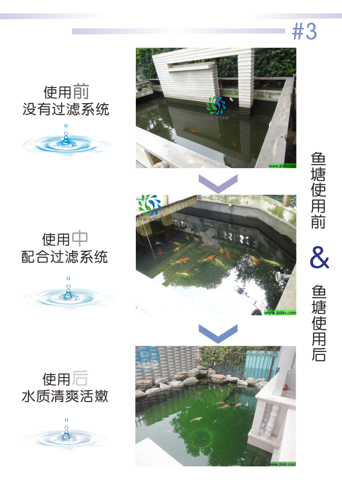 金莊錦鯉魚池專用超級細菌（淨水菌）