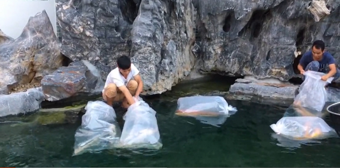 金莊教你新魚到家操作指引