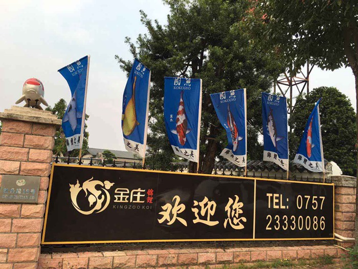 金莊感恩季感激，身旁有你！金莊歡迎您