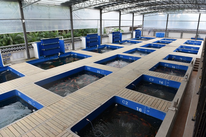 金莊感恩季感激，身旁有你！金莊歡迎您