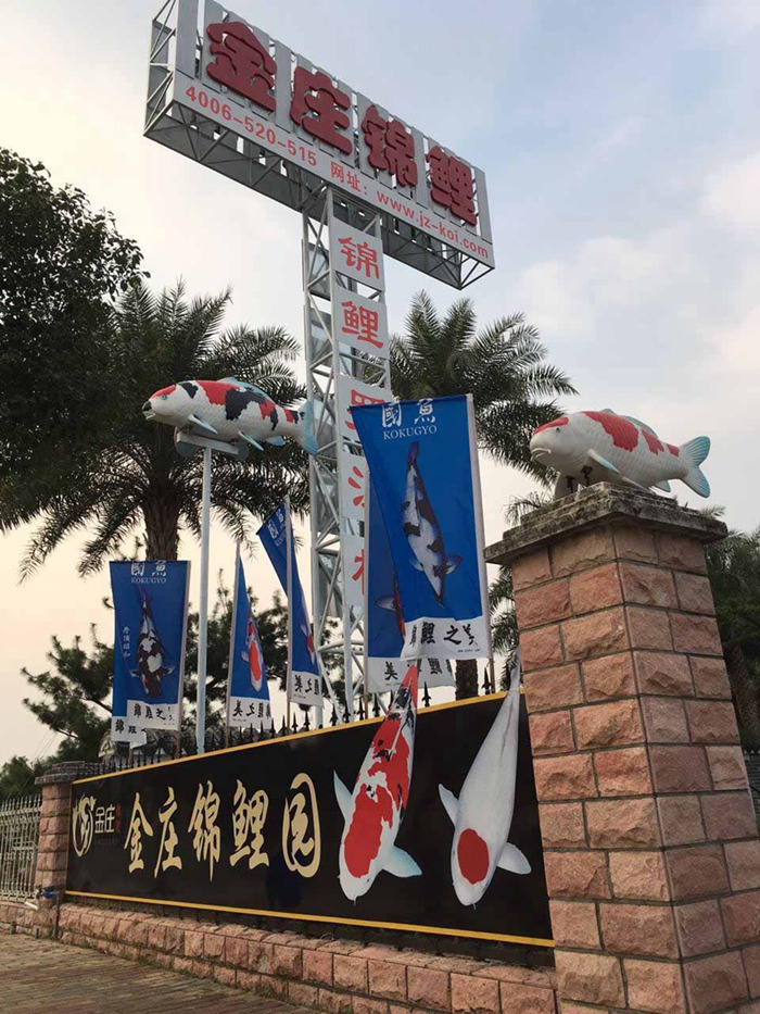 金莊感恩季感激，身旁有你！金莊歡迎您