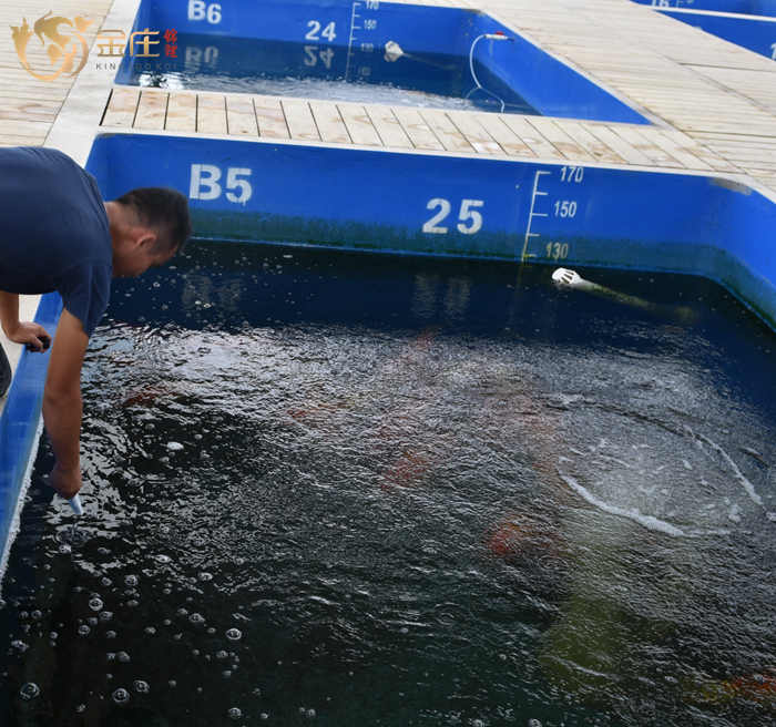 金莊的工作人員(yuán)在量水溫 金莊的工作人員(yuán)在量水溫