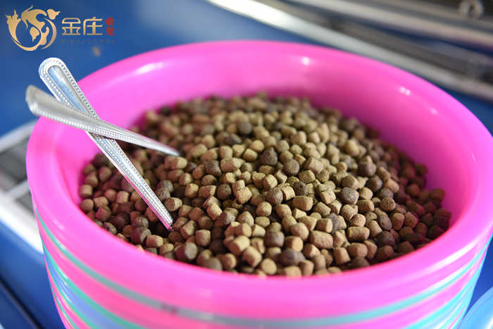 金莊日本桃太郎錦鯉的營養食物