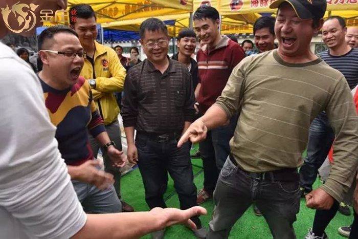 金莊錦鯉銷售會活動