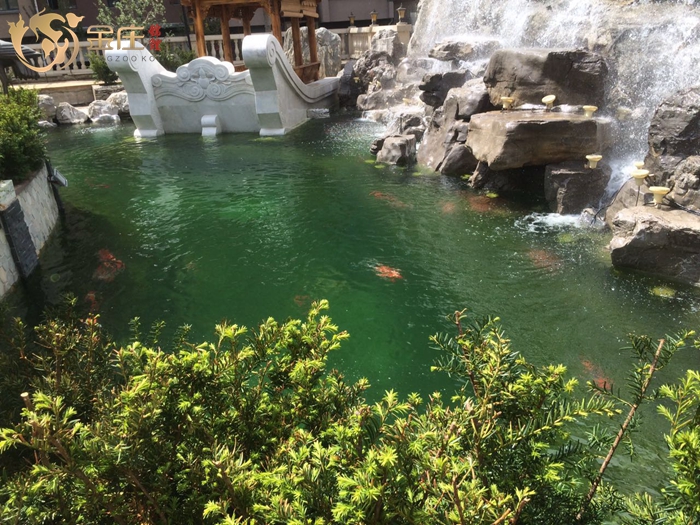 沈陽王先生家魚池 沈陽王先生家魚池