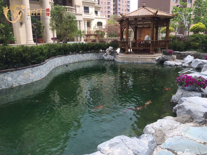 沈陽王先生家魚池 沈陽王先生家魚池