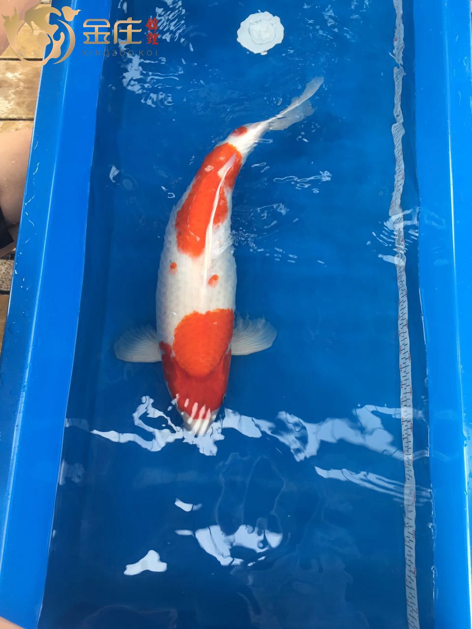 417435151549038430_副本_副本.jpg 417435151549038430_副本_副本.jpg