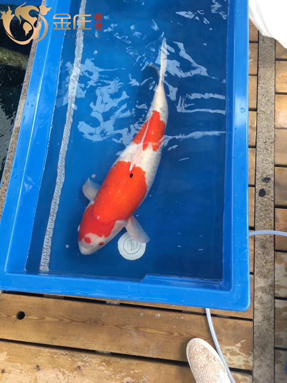 738736121327068318_副本.jpg 738736121327068318_副本.jpg