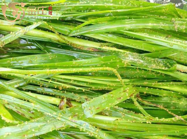 503001196859325888_副本.jpg 503001196859325888_副本.jpg