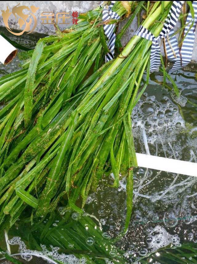 63376037019458998_副本.jpg 63376037019458998_副本.jpg