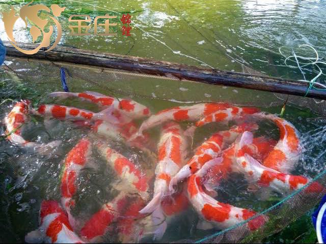 758197585305881221_副本.jpg 758197585305881221_副本.jpg