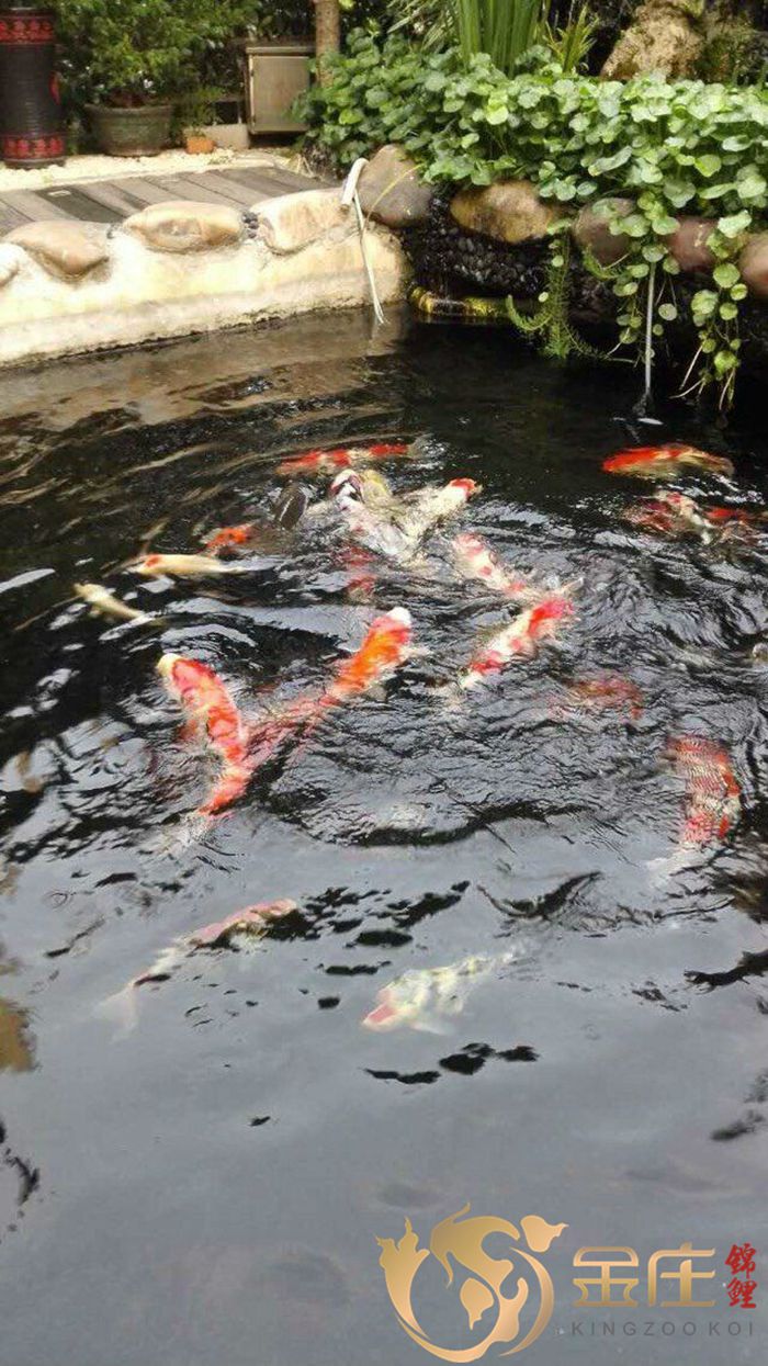 QQ圖片20160603153524.jpg QQ圖片20160603153524.jpg