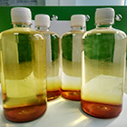 金莊養殖技術指導